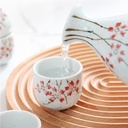 japanese-sake-set-soju-tea-set5-pieces-c-6.jpg