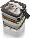 stackable-double-layer-bento-box-cute-ma-4.jpg