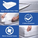 queen-size-mattress-protector-bedbug-wat-6.jpg