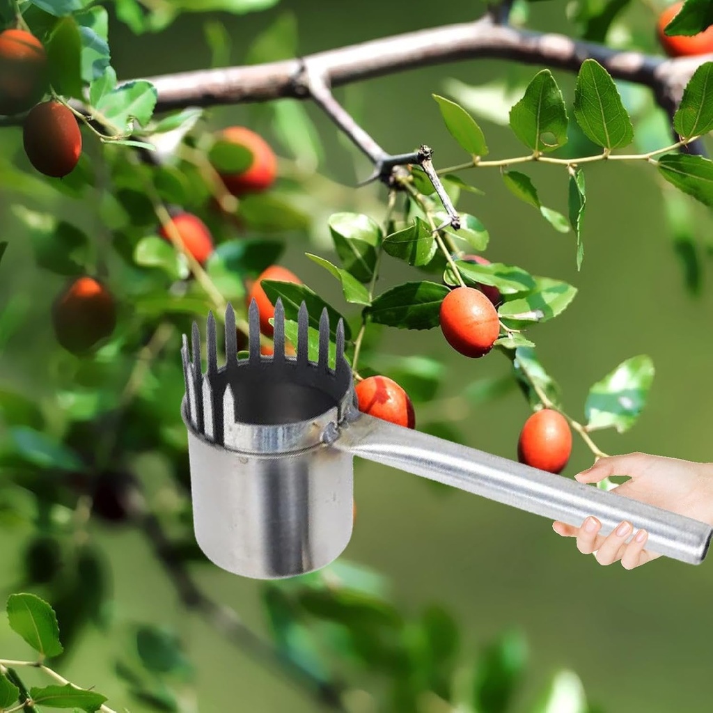 fruit-picker-jujube-picking-tool-profess-2.jpg