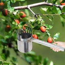 fruit-picker-jujube-picking-tool-profess-2.jpg