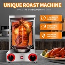 shawarma-grill-machine-lp-gas-gyro-grill-4.jpg