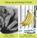 banana-tree-hanger-stainless-steel-banan-5.jpg