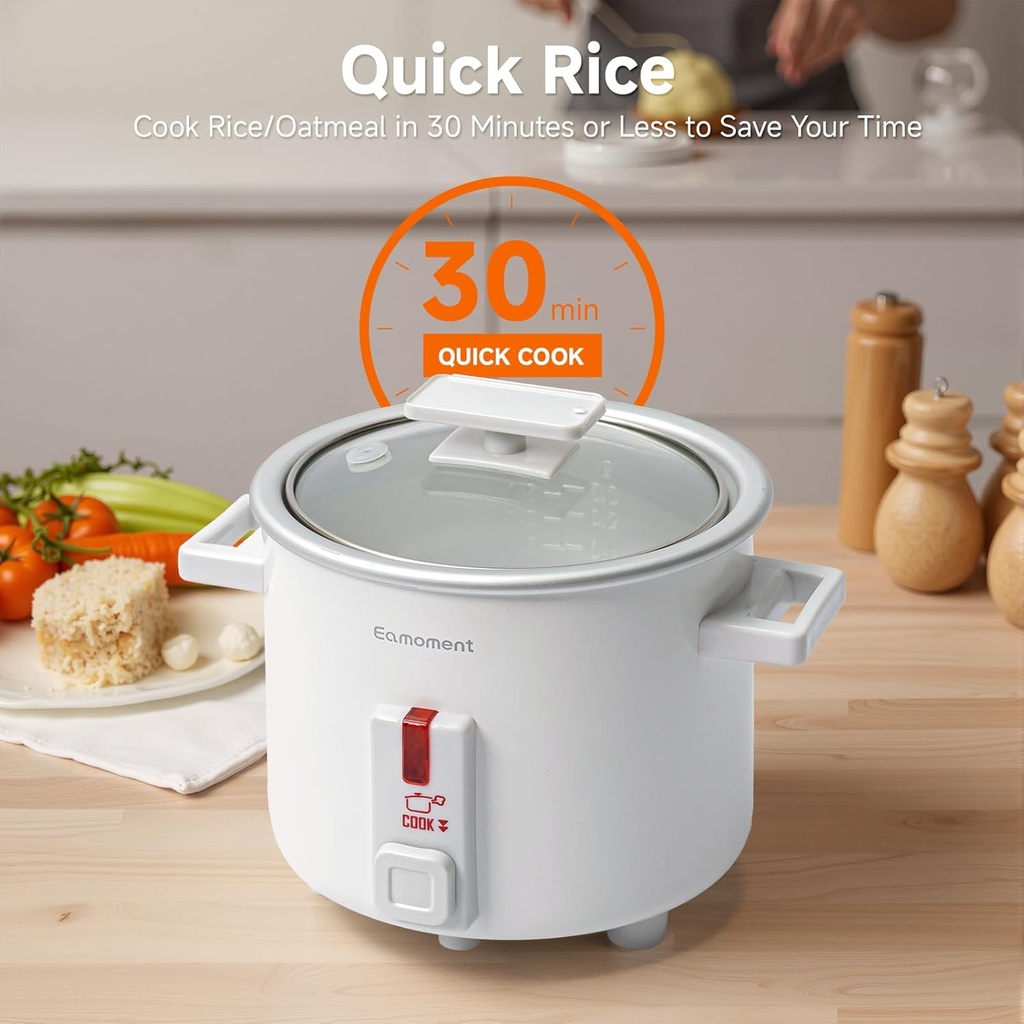small-rice-cooker-white-15-quart-mini-no-5.jpg