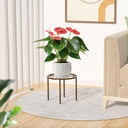 1-pcs-plant-stand-heavy-duty-metal-stand-6.jpg