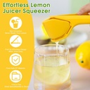 handheld-lemon-squeezer-effortless-expri-2.jpg