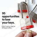 lion-locks-48-keyed-alike-padlocks-with--3.jpg