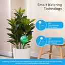 lgl-plant-watering-globes---automatic-se-4.jpg
