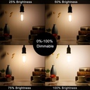 litehistory-dimmable-e26-edison-bulb-6w--4.jpg
