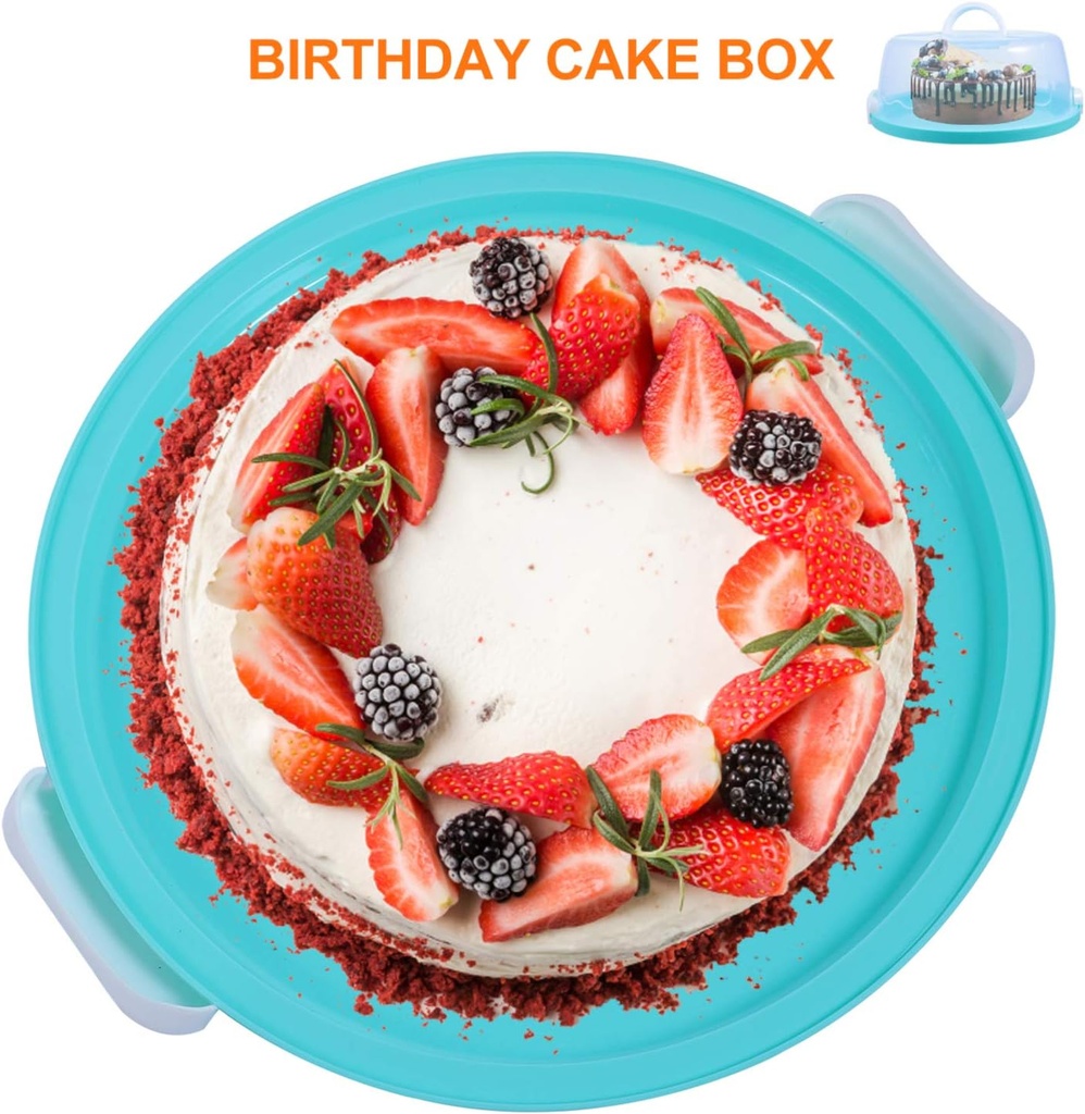 doitool-10-inch-blue-portable-round-cake-5.jpg