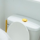 baluue-dual-flush-valve-toilet-push-butt-6.jpg