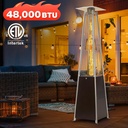 foowin-patio-heater48000-btu-outdoor-hea-2.jpg
