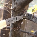kakuri-pruning-saw-folding-4-for-garden--2.jpg