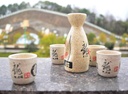 japanese-sake-cup-set-5-piece-porcelain--2.jpg