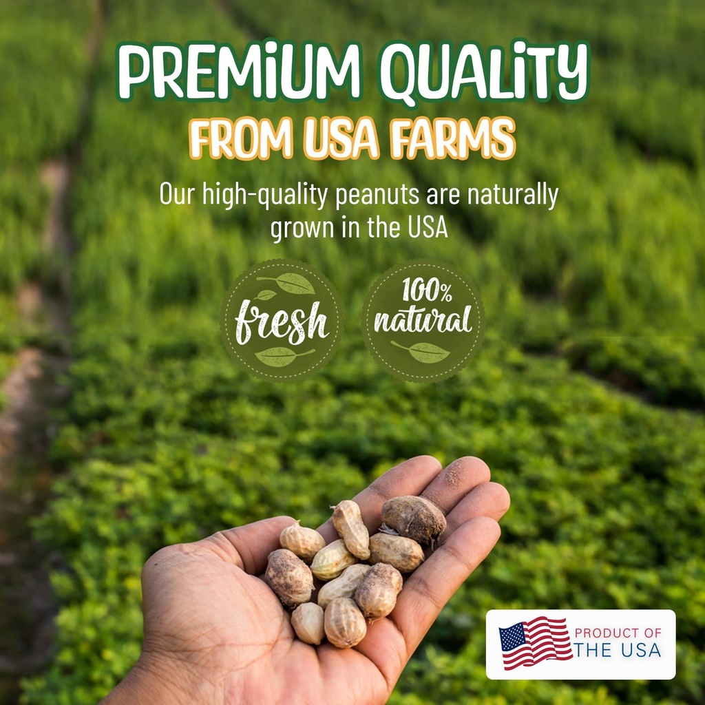 premium-quality-raw-peanuts-in-shell---1-6.jpg