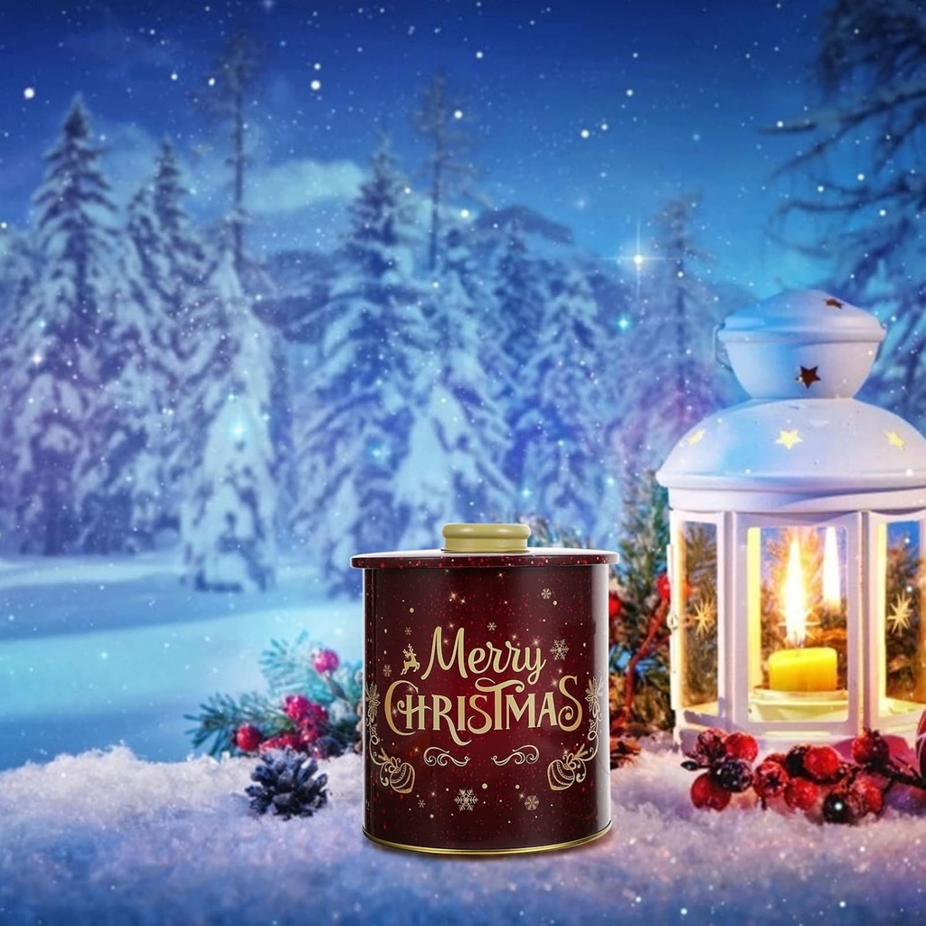 heallily-2pcs-christmas-themed-tinplate--6.jpg