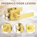 probrico-6-pack-gold-privacy-door-handle-5.jpg