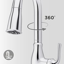 pfister-rosslyn-kitchen-faucet-with-pull-6.jpg