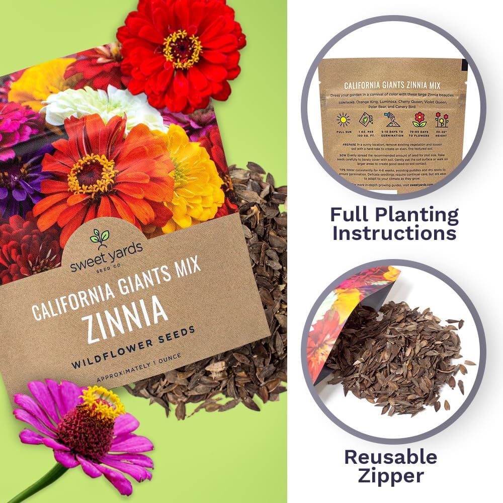 zinnia-seeds---california-giants-mix---l-5.jpg