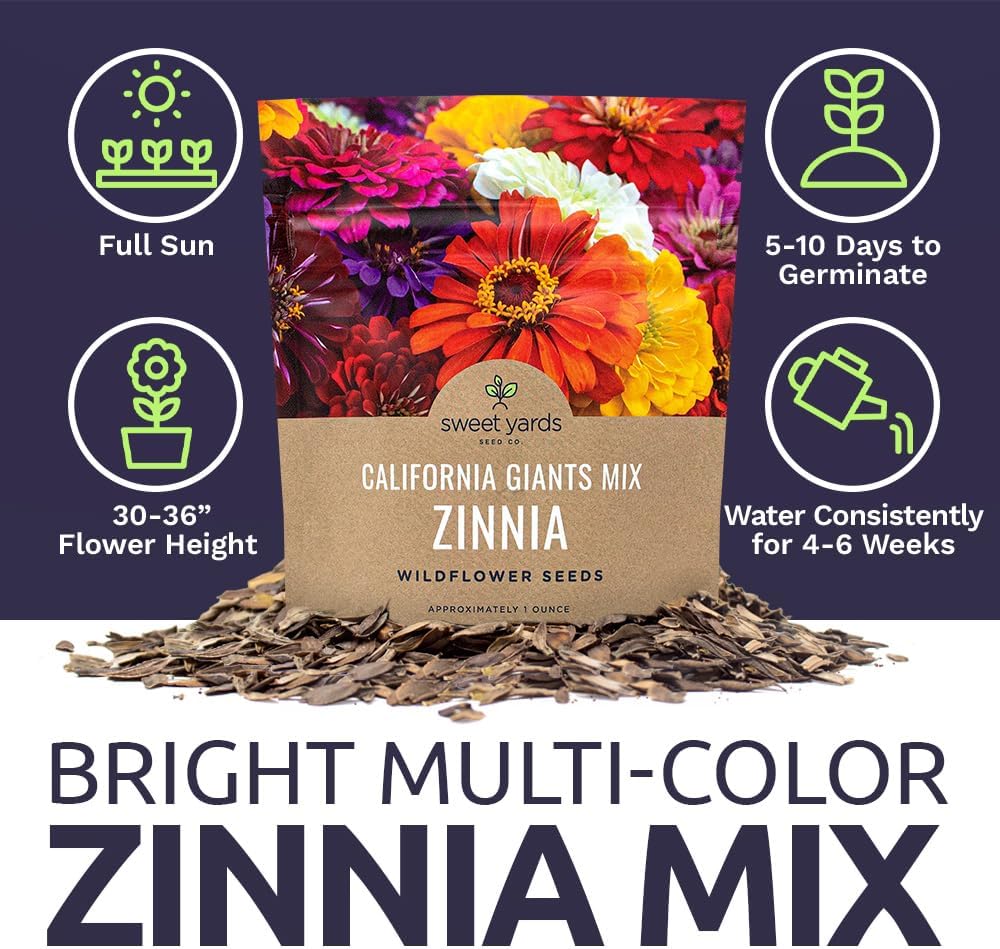 zinnia-seeds---california-giants-mix---l-6.jpg