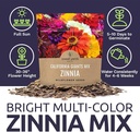 zinnia-seeds---california-giants-mix---l-6.jpg