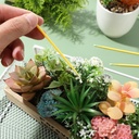 100pcs-portable-pollinator-tools-plant-p-2.jpg