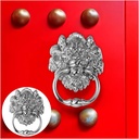 door-knocker-golds-lion-head-door-knocke-2.jpg