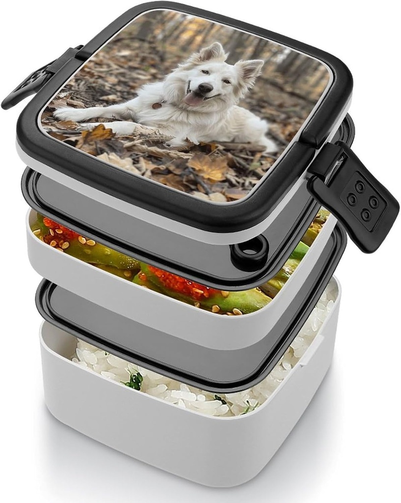 a-white-dog-bento-box-adult-lunch-box-al-4.jpg