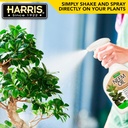 harris-neem-oil-spray-for-indoor-and-out-5.jpg