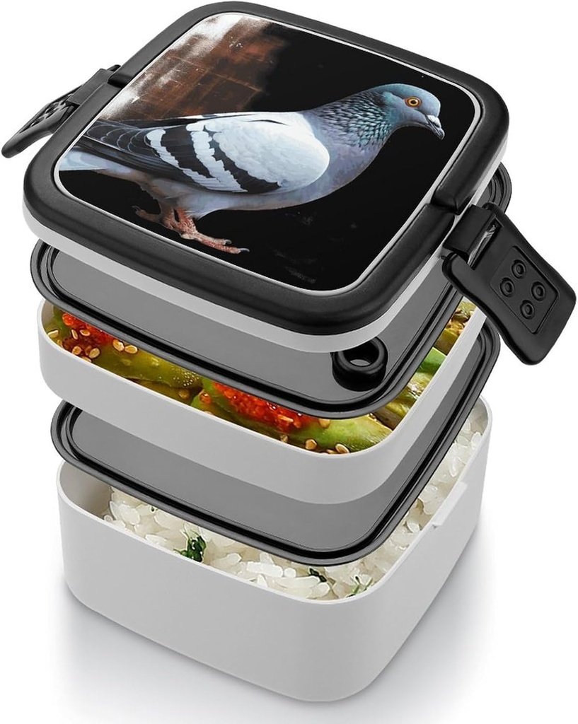 pigeon-bento-box-adult-lunch-box-all-in--4.jpg