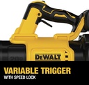 dewalt-20v-max-xr-leaf-blower-cordless-h-6.jpg