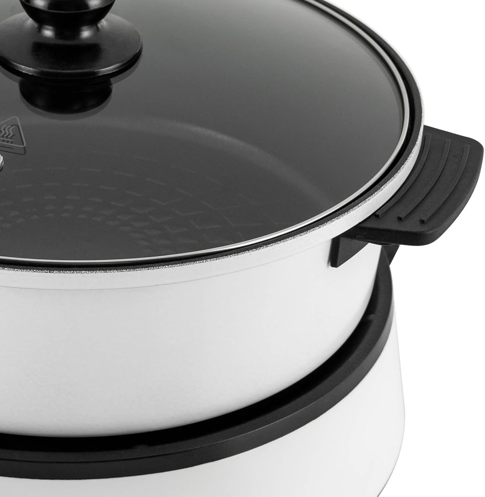 electric-hot-pot-with-induction-cooker-n-4.jpg