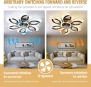 modern-ceiling-fan-with-lights-26-inch-f-4.jpg