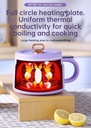 mini-electric-hot-pot-16l-non-stick-port-2.jpg