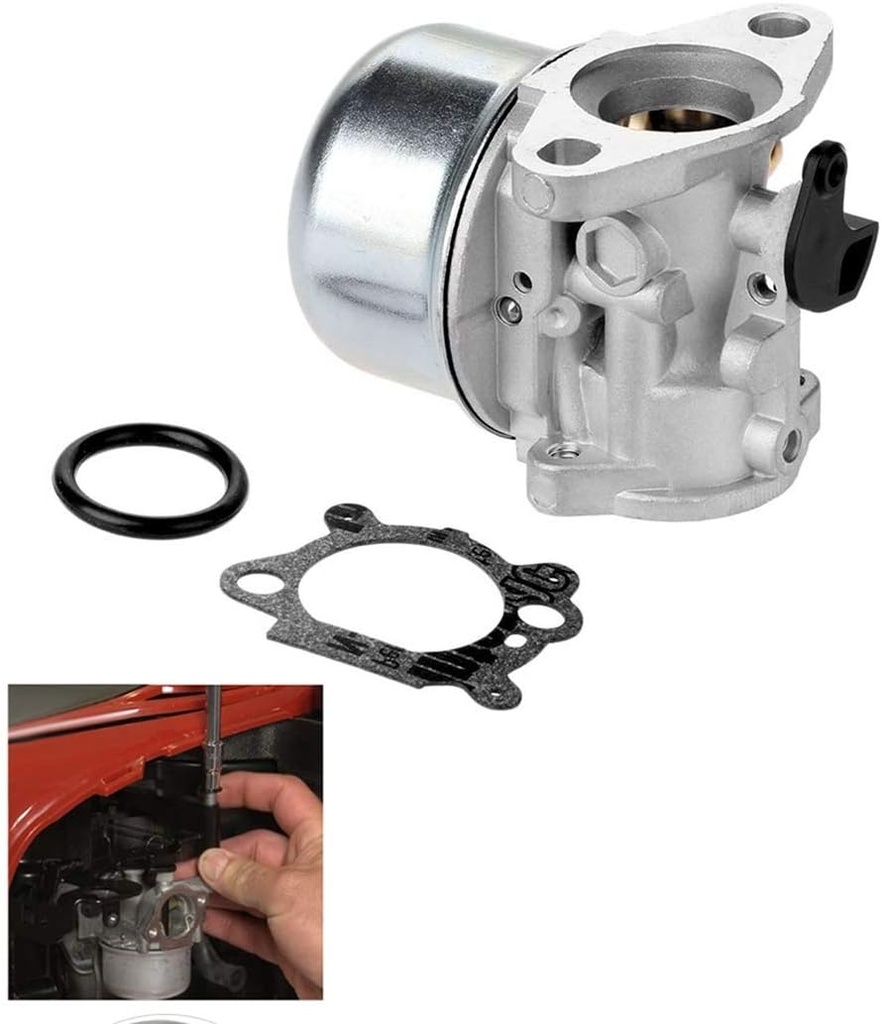 799868-carburetor-compatible-with-briggs-2.jpg