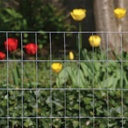 yardgard-309320a-fence-height-24-inches--3.jpg