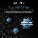 alen-air-filter-b7-pure-replacement-h13--3.jpg