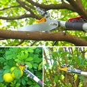 46-10-foot-extendable-tree-pruner-cut-an-4.jpg