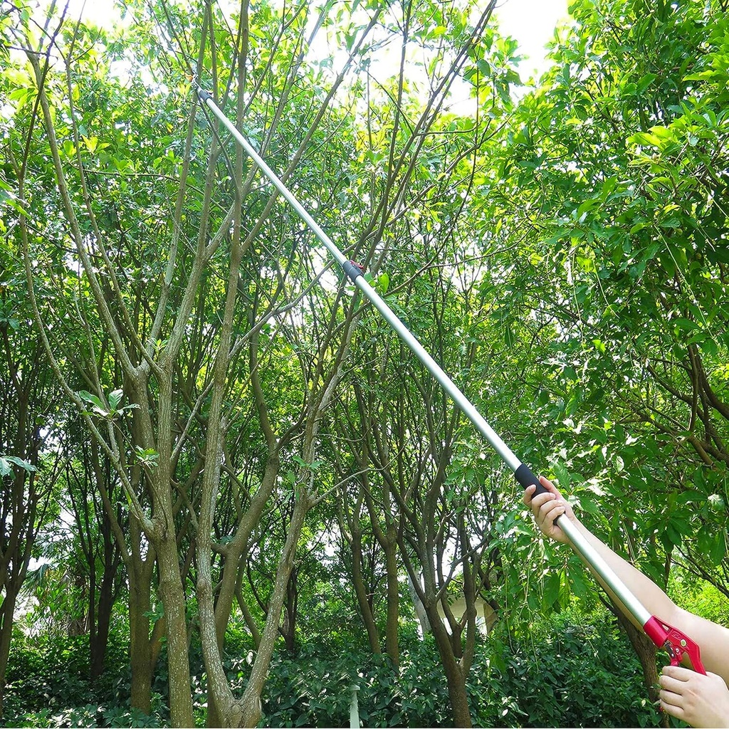 46-10-foot-extendable-tree-pruner-cut-an-5.jpg
