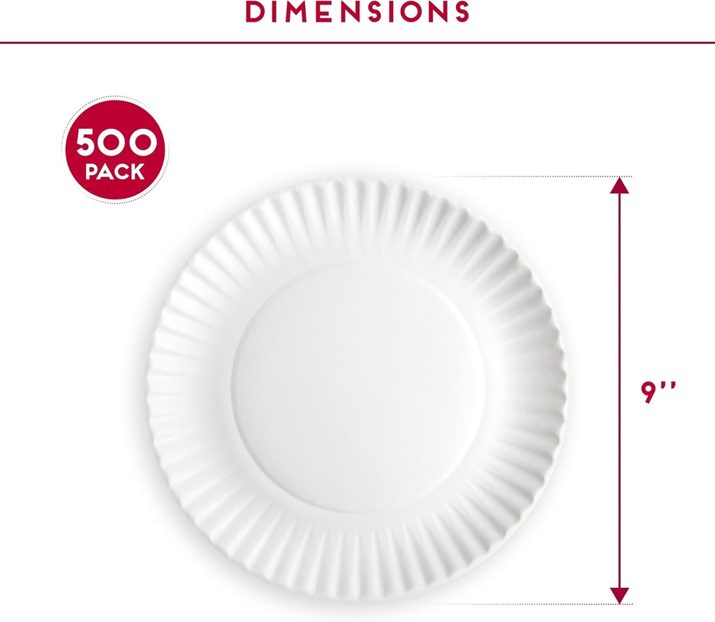 9-inch-disposable-paper-plates---500-cou-3.jpg