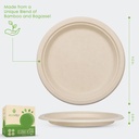 ecovita-100-compostable-paper-plates-9-i-2.jpg