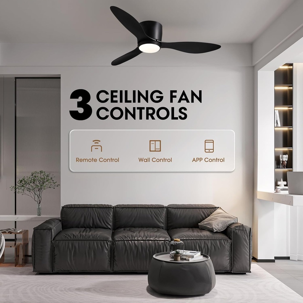 ceiling-fans-with-lights42-inch-low-prof-2.jpg
