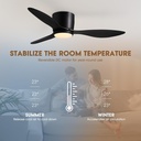 ceiling-fans-with-lights42-inch-low-prof-6.jpg