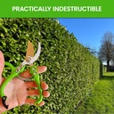 garden-guru-ergonomic-garden-snips-clipp-5.jpg