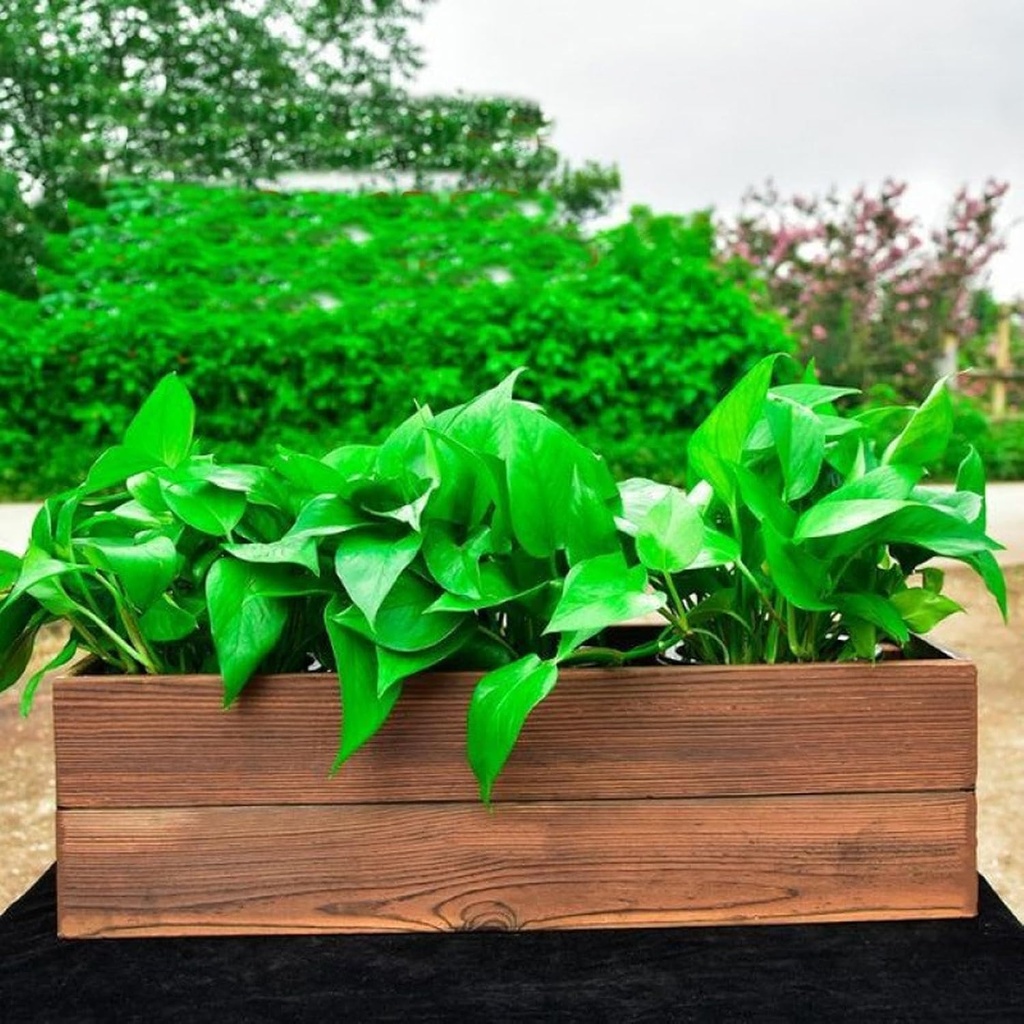 binaryabc-wooden-rectangle-planter-boxwi-6.jpg