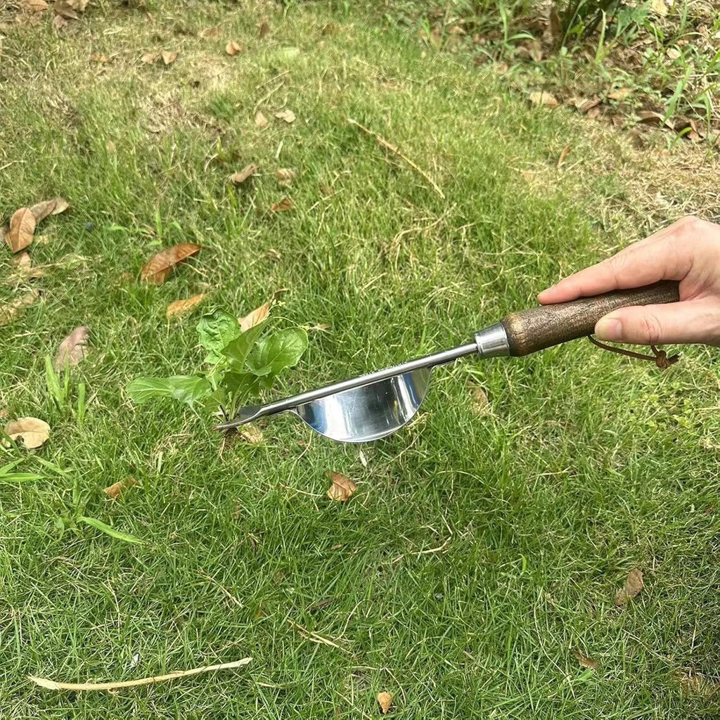 garden-crevice-weeding-tool-wood-handle--5.jpg