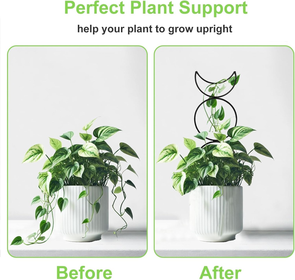 4-packs-trellis-for-climbing-plants-indo-5.jpg
