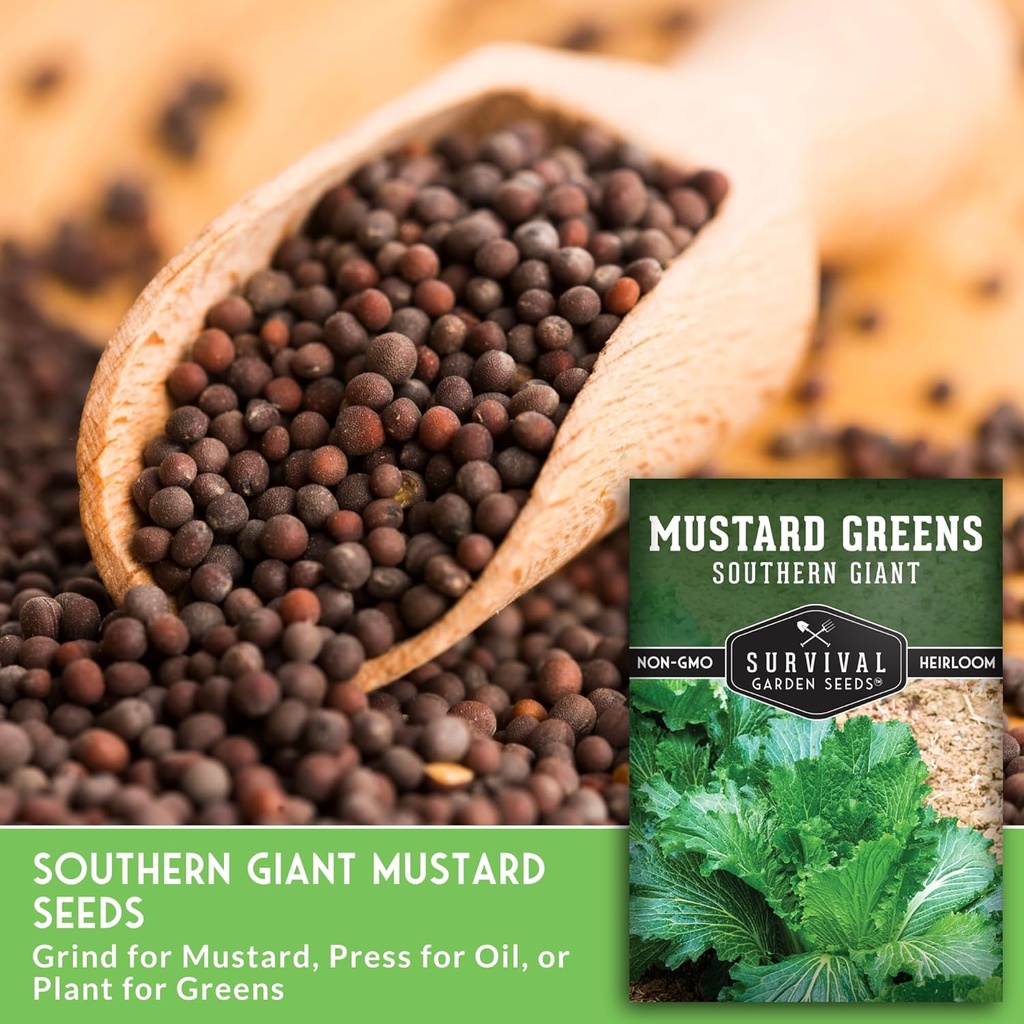 southern-giant-mustard-green-seeds-for-p-5.jpg