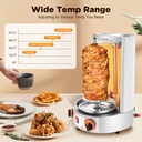 gas-shawarma-machine-countertop-rotating-6.jpg