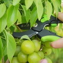 zhang-xiao-quan-since-1628-pruning-shear-2.jpg